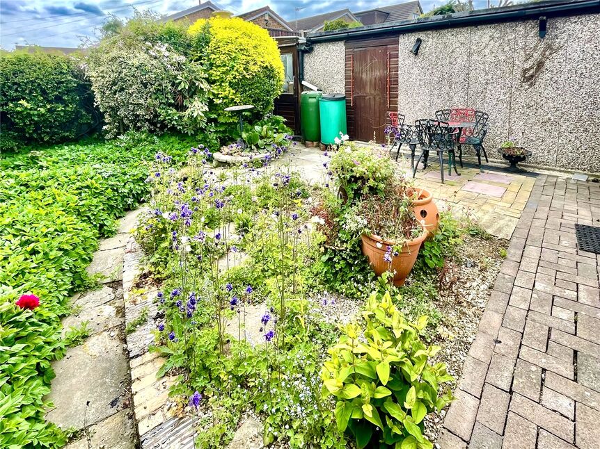 Image 15