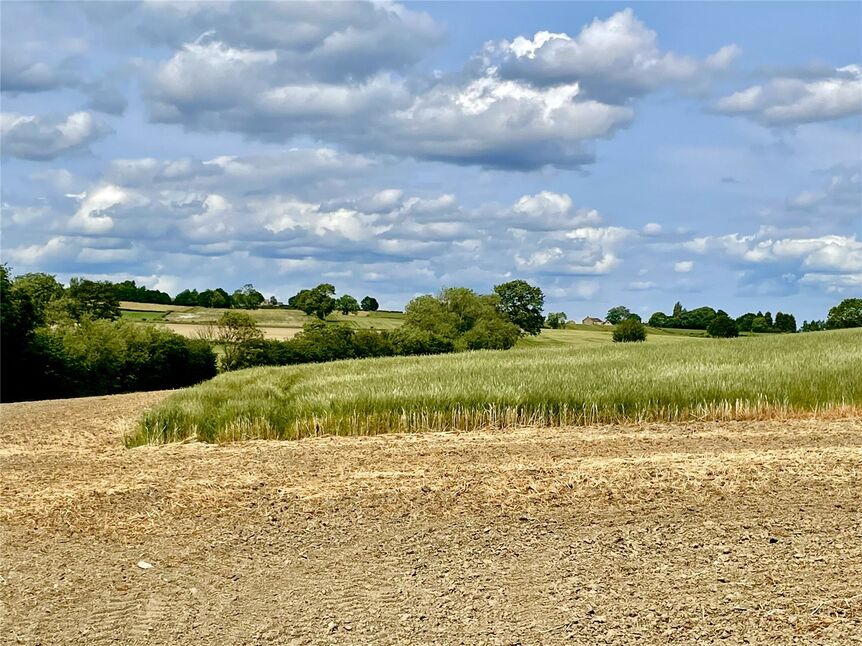 Image 18
