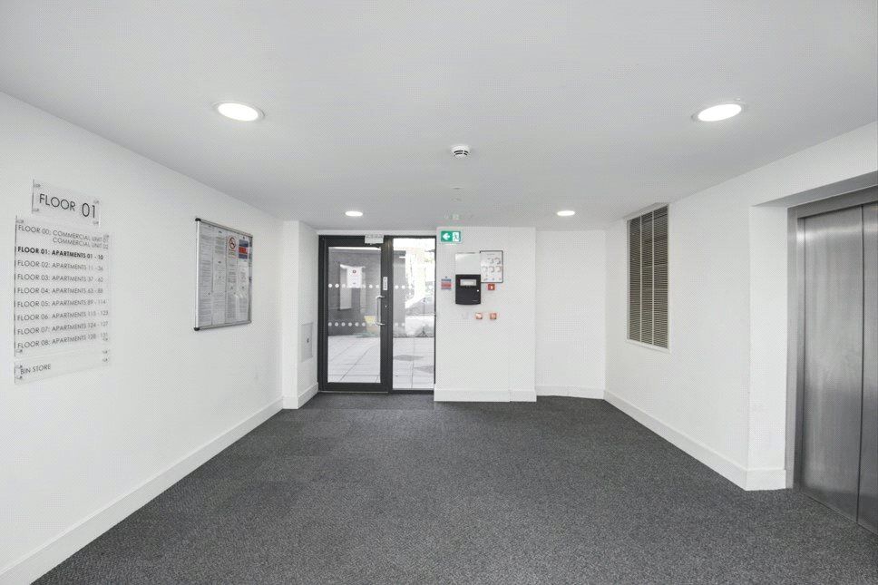 Image 15