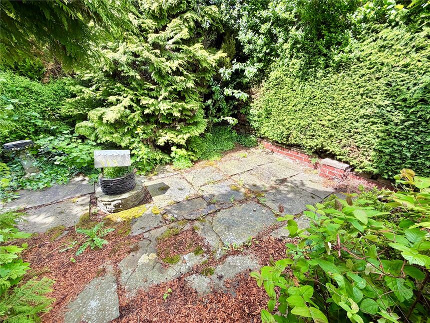 Image 23