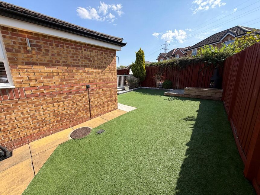 Image 20