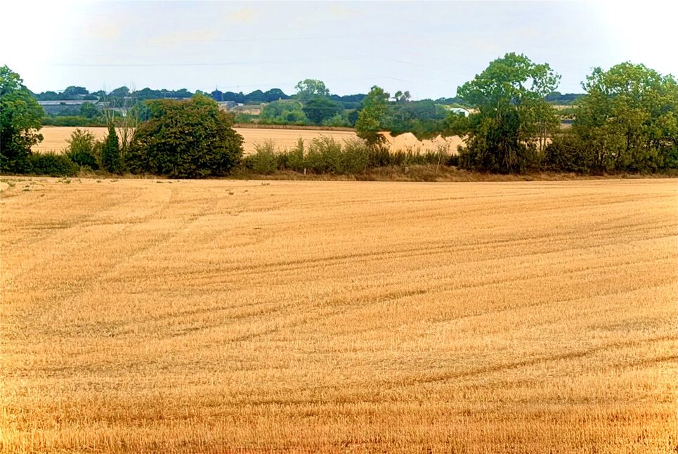 Image 16