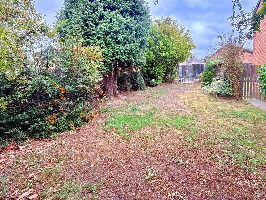 Image 15