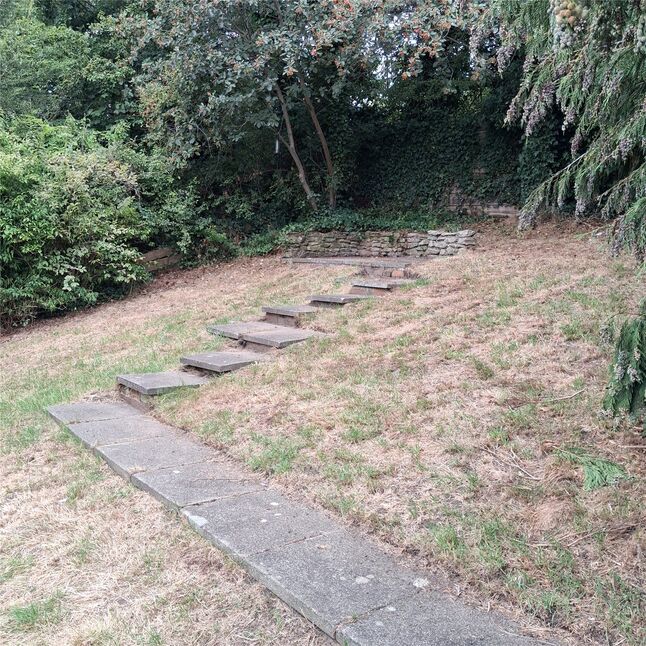 Image 13