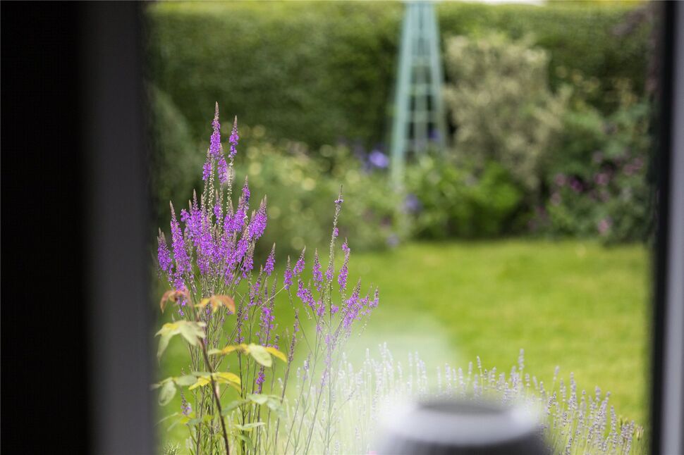 Image 29