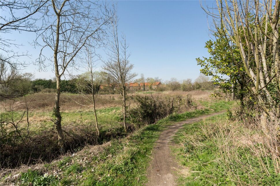 Image 23