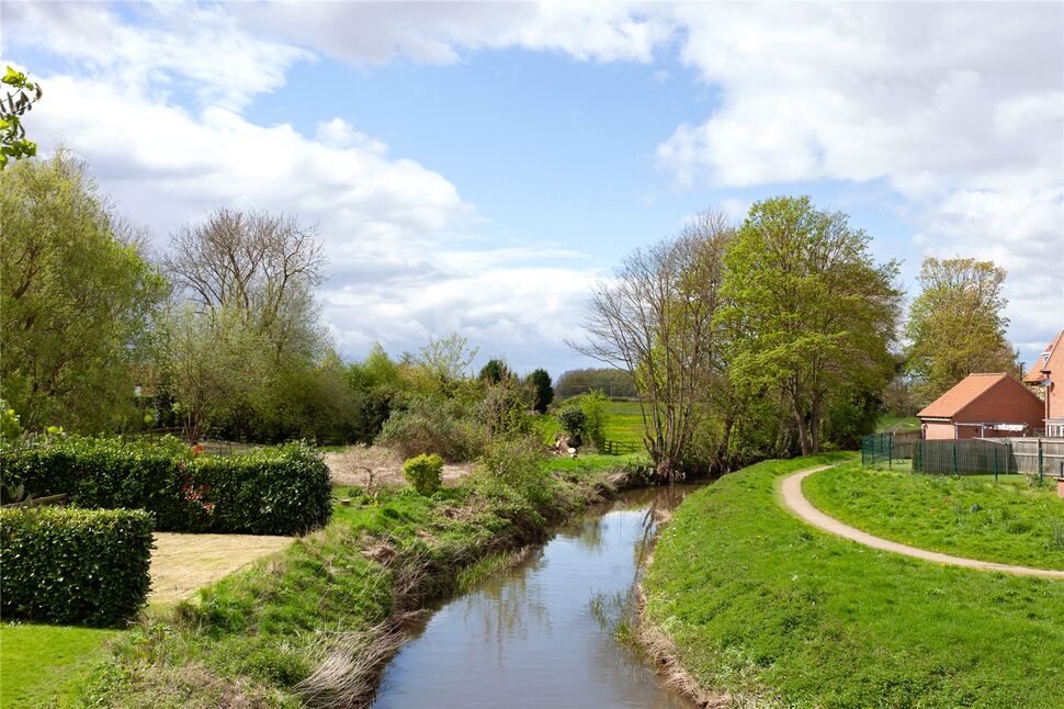 Image 31