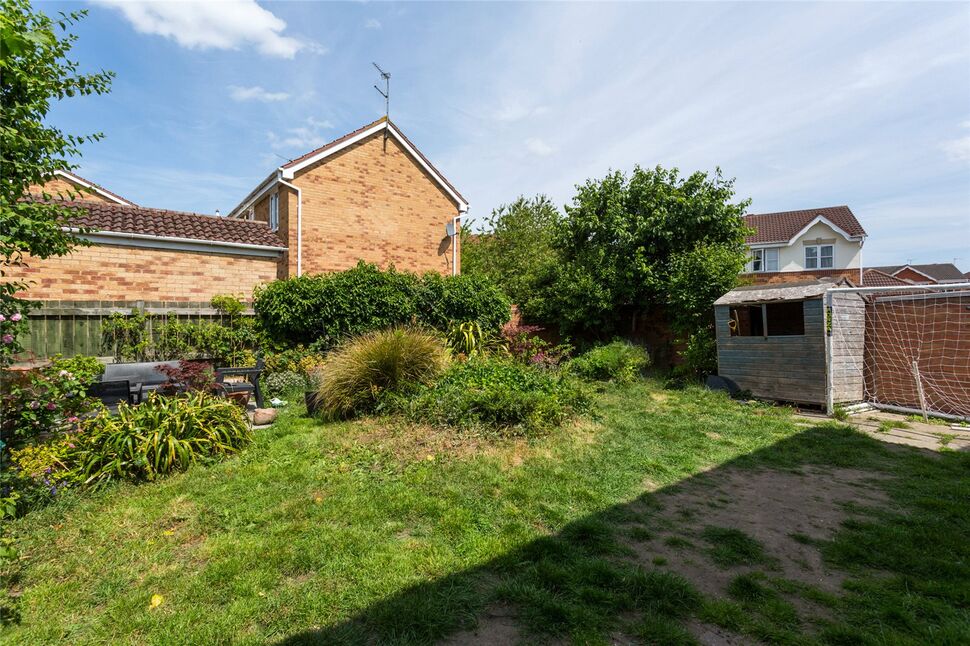 Image 12