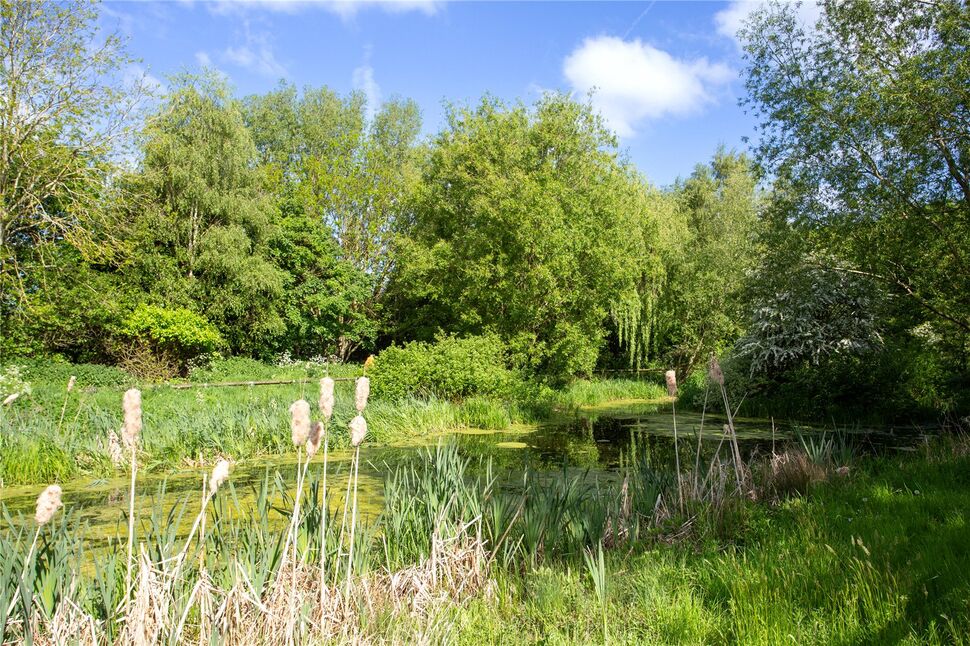 Image 26