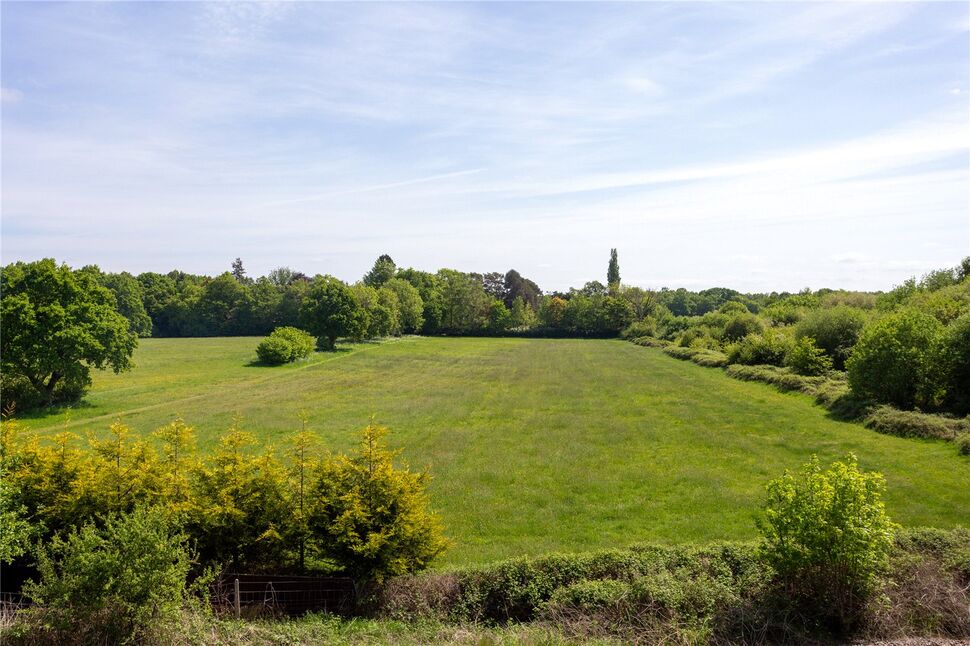 Image 22