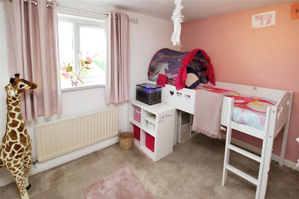 Image 12