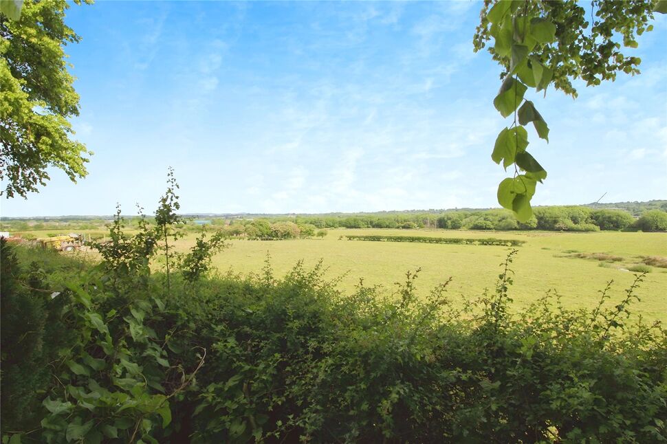 Image 16