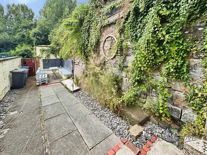 Image 11