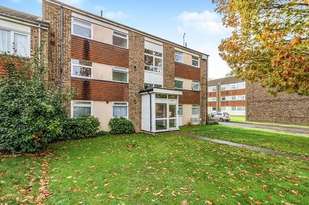 1 bedroom  Flat to rent