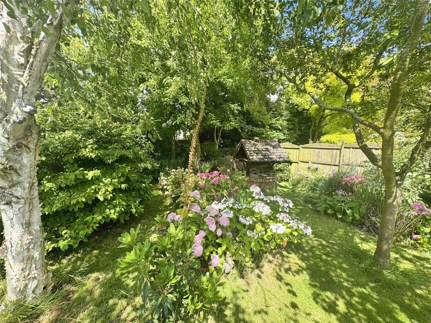 Image 20