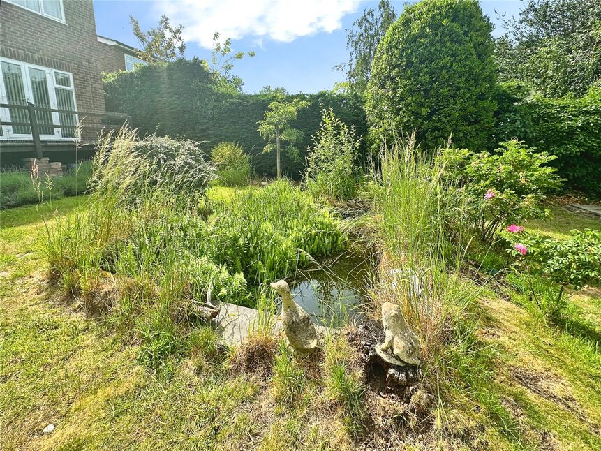 Image 13