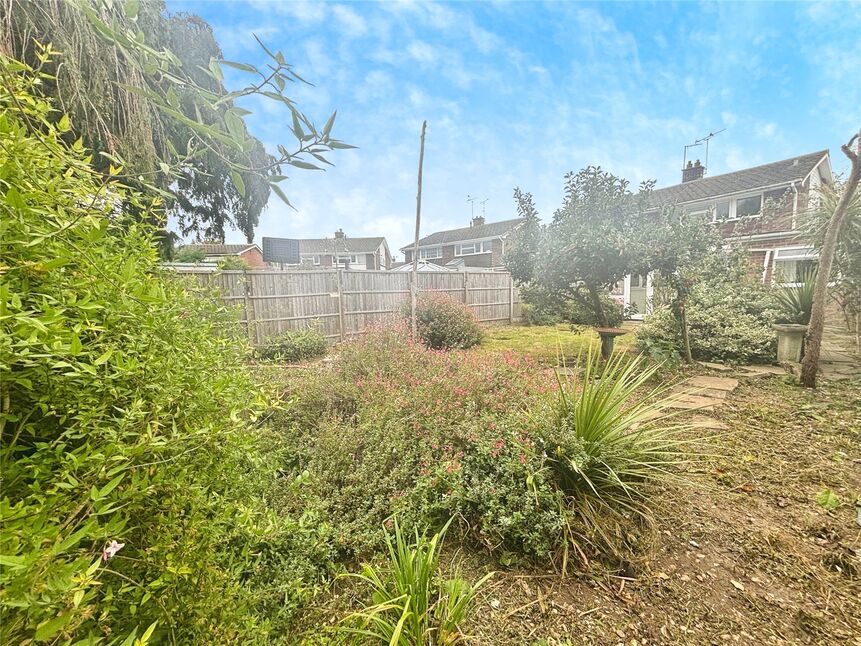 Image 20