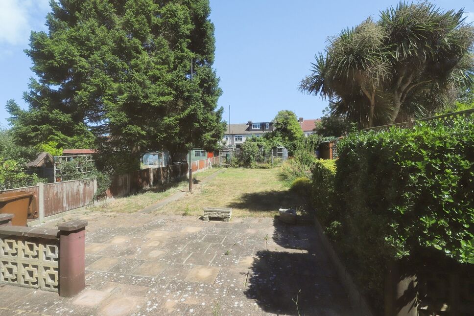 Image 6