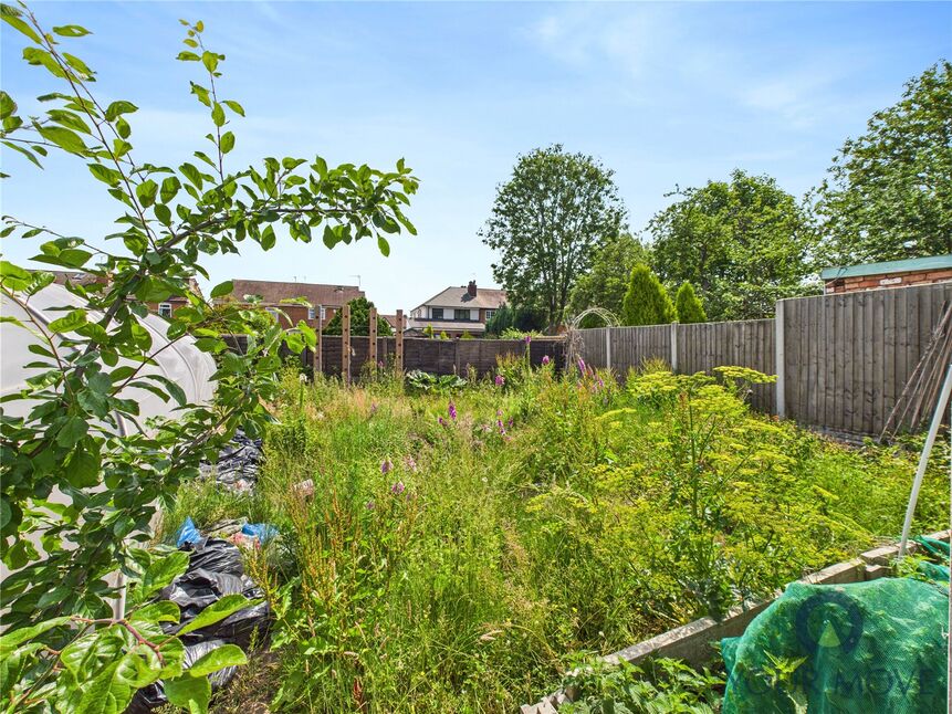 Image 15