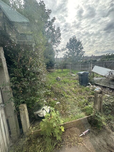 Image 14