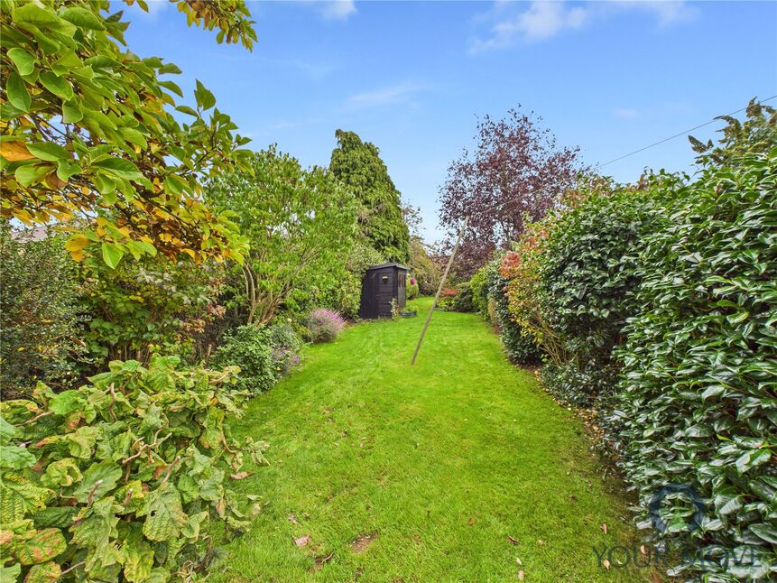 Image 20