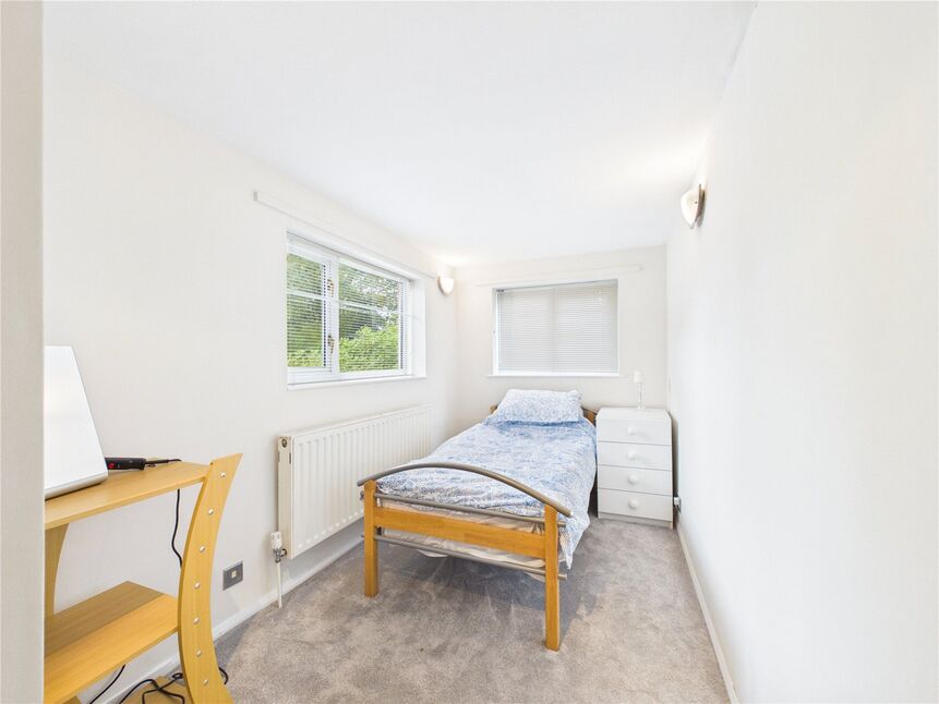 Image 21