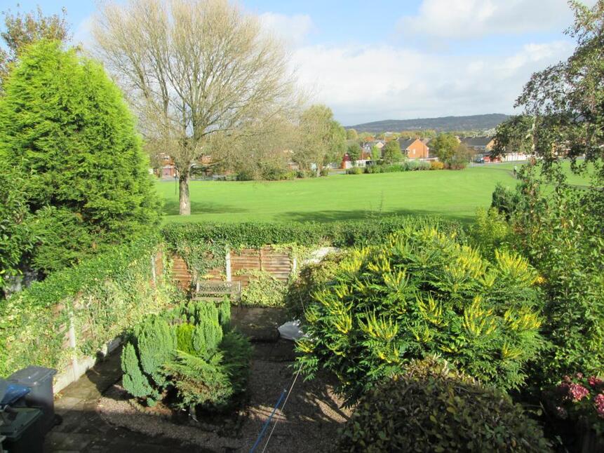 Image 15