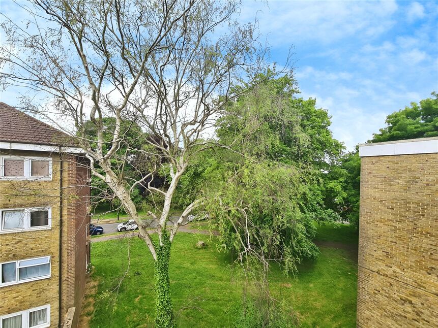 Image 12