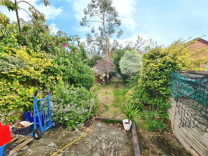 Image 11