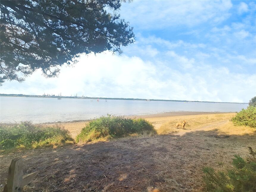 Image 13