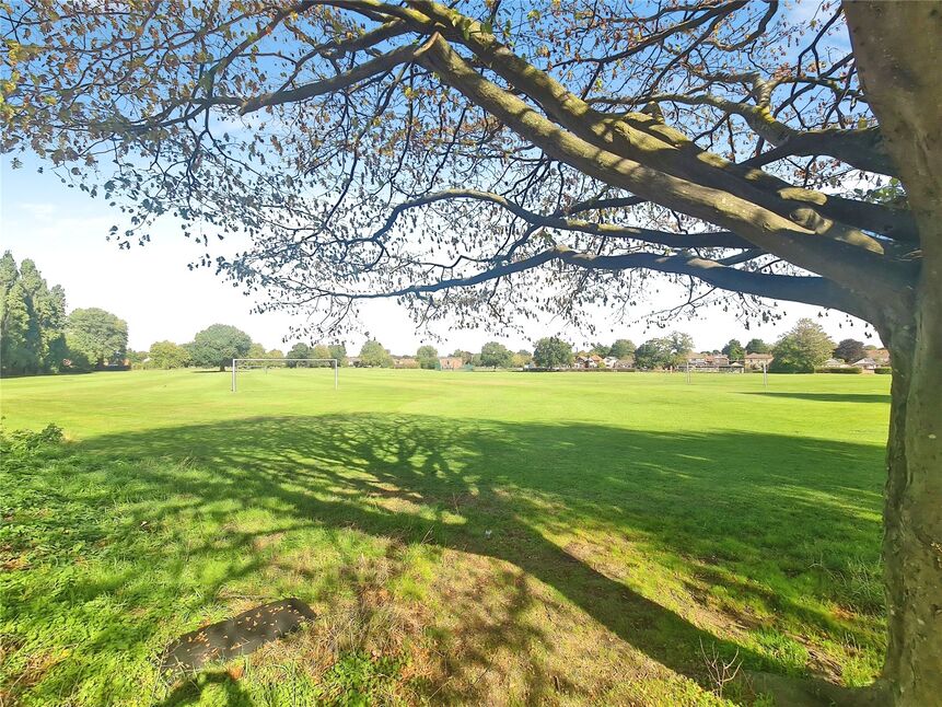 Image 15
