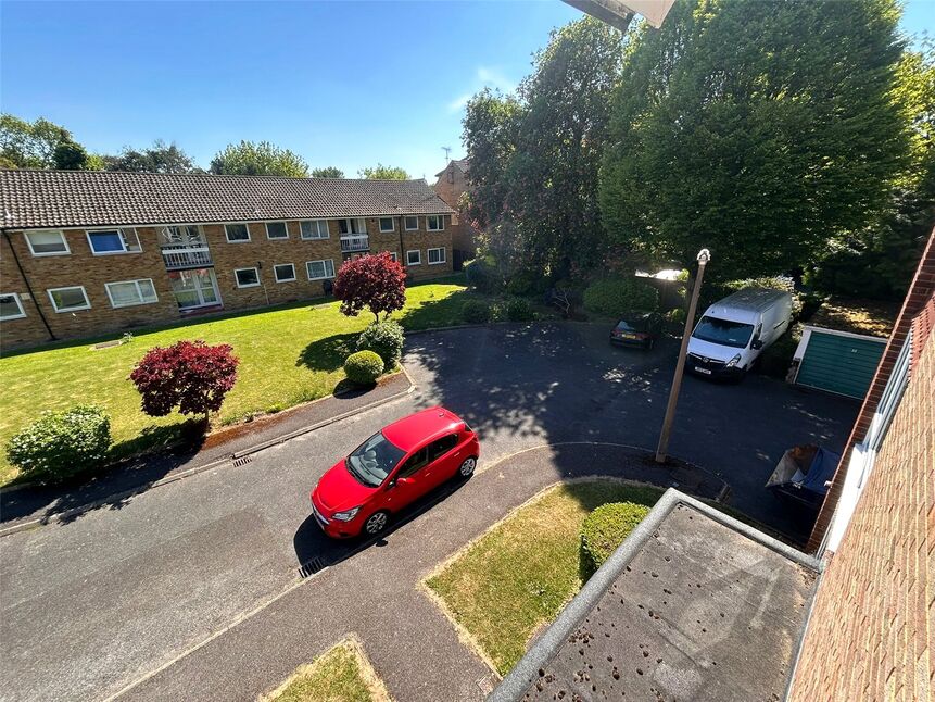 Image 12