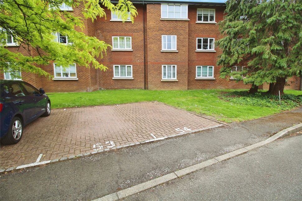 Image 8