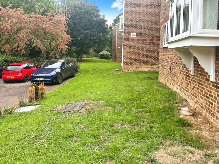 Image 11