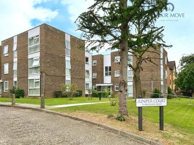 1 bedroom  Flat to rent