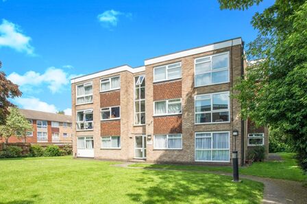1 bedroom  Flat to rent