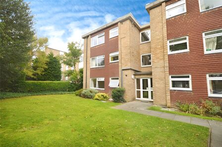 1 bedroom  Flat to rent