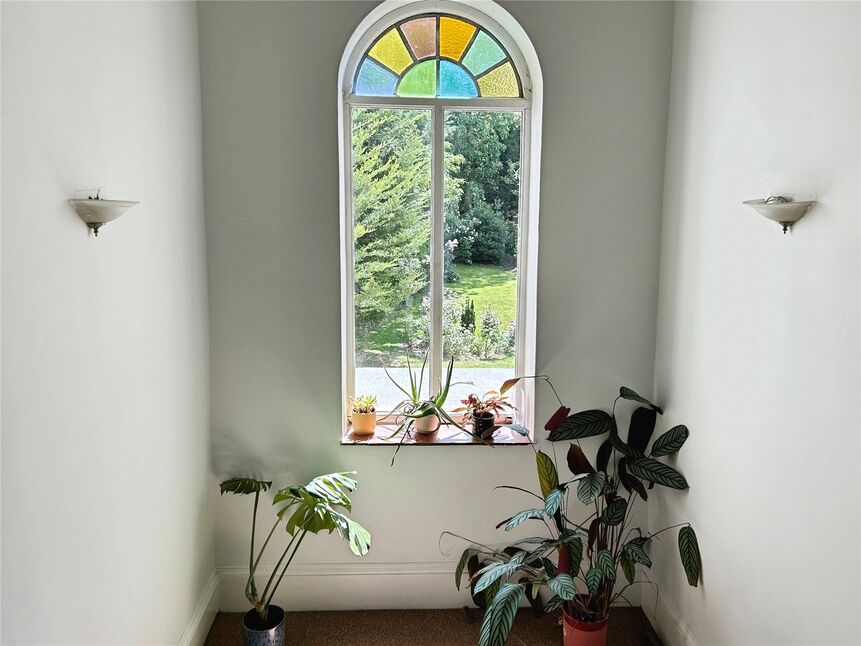 Image 15