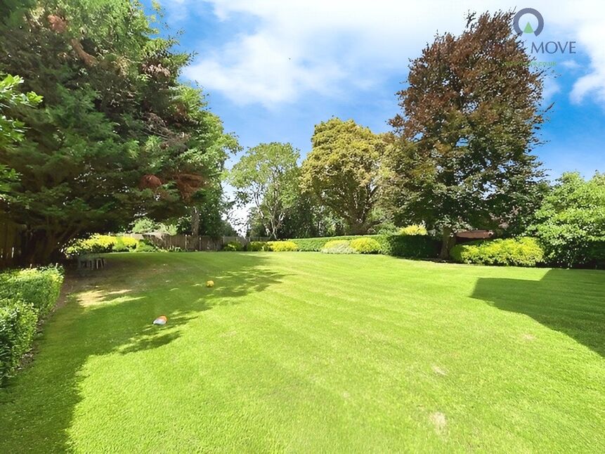 Image 18