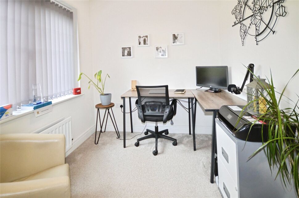 Study Area