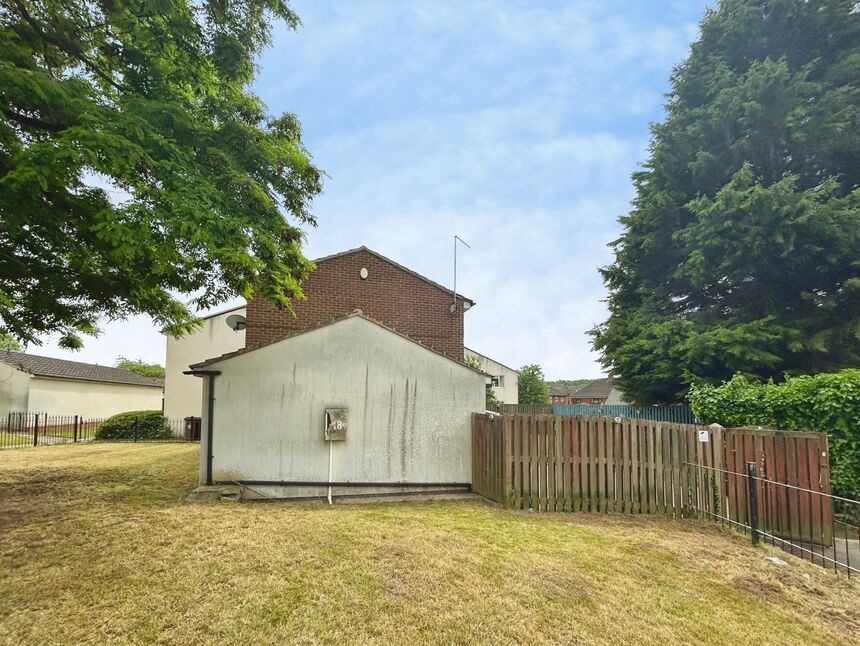Image 13