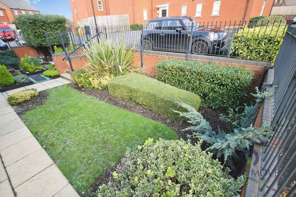 Image 11