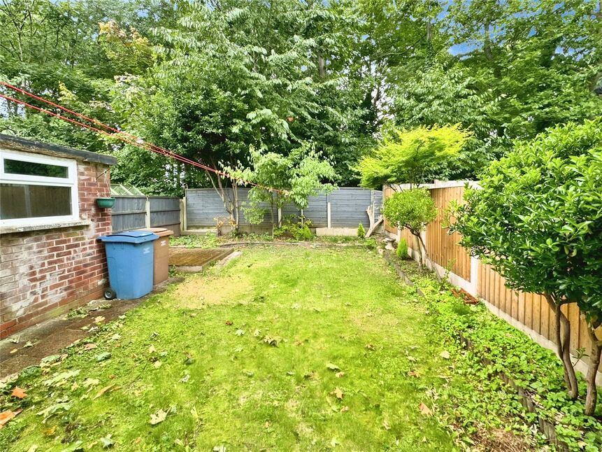 Image 15