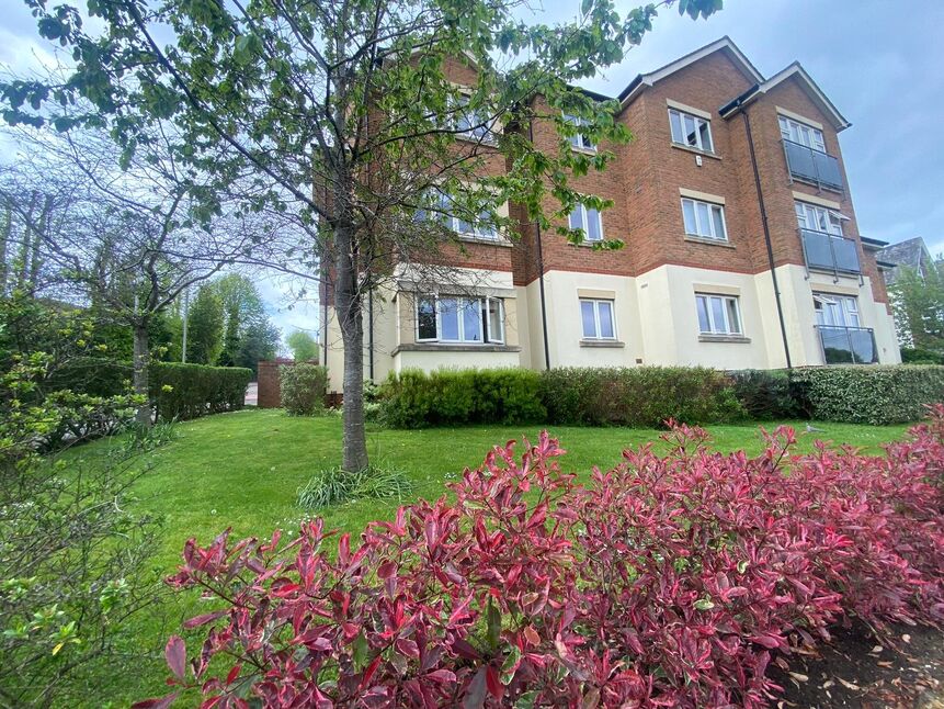 Image 11