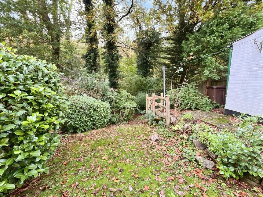 Image 15