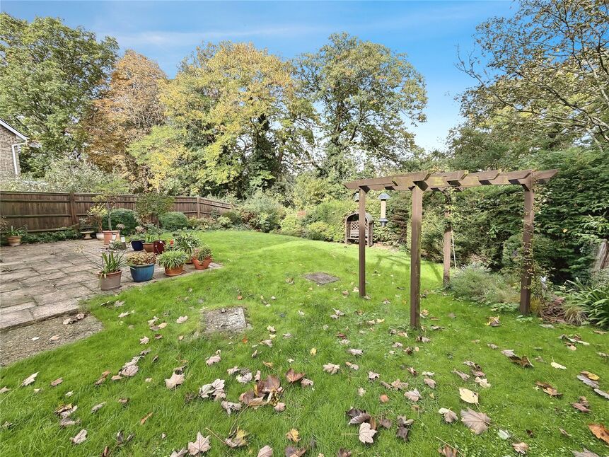 Image 12