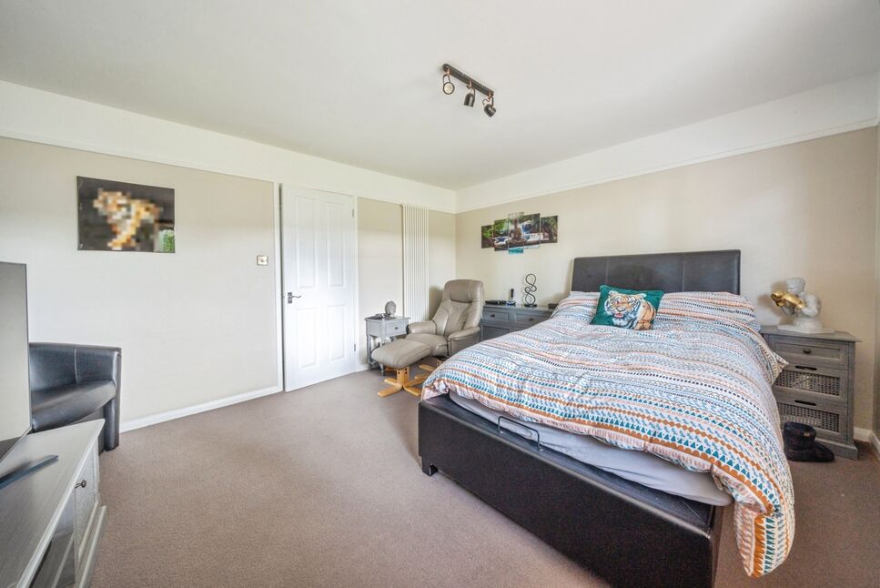 Bedroom / Living Room