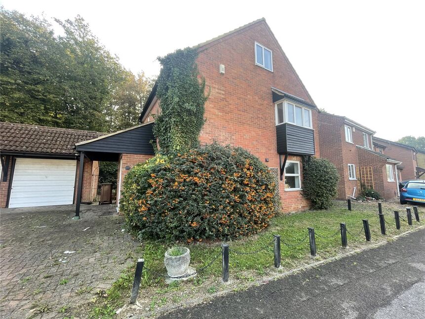 Image 12