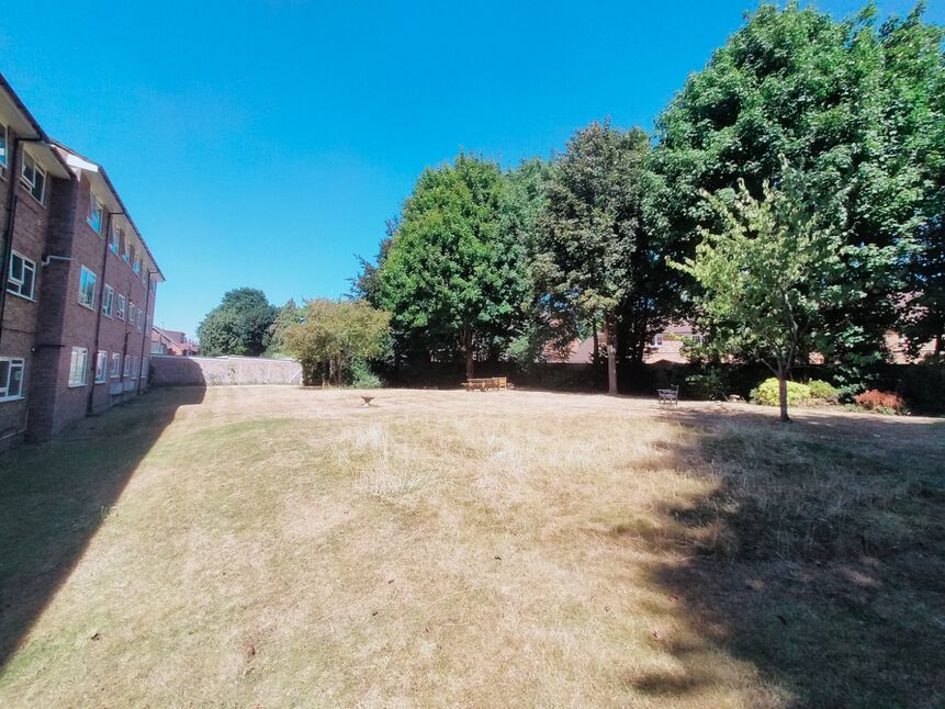 Image 12