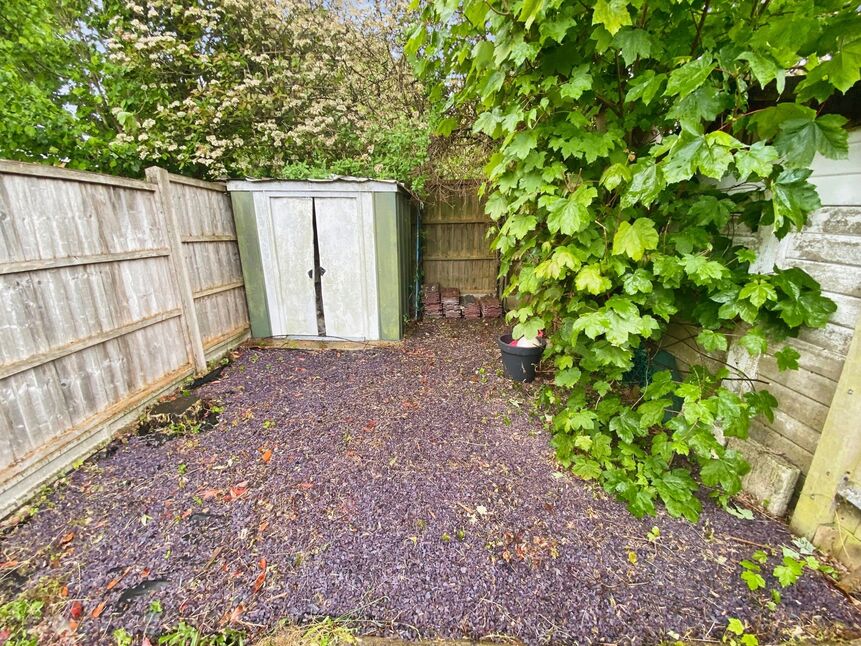 Image 11